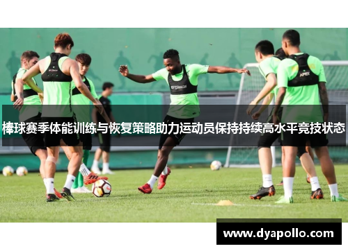 棒球赛季体能训练与恢复策略助力运动员保持持续高水平竞技状态