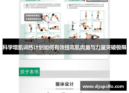 科学增肌训练计划如何有效提高肌肉量与力量突破极限
