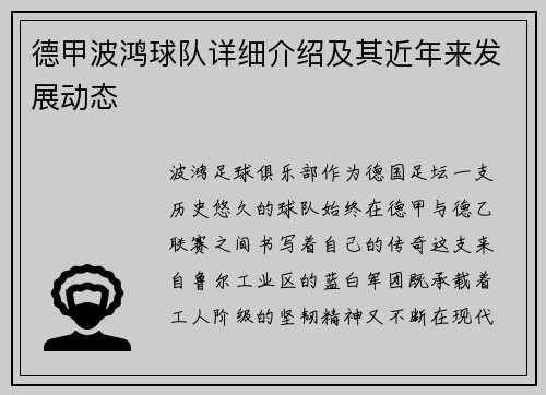 德甲波鸿球队详细介绍及其近年来发展动态